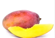 Receita de 10 Curiosidades Fascinantes sobre a Manga: A Rainha das Frutas Tropicais | Amo Receita