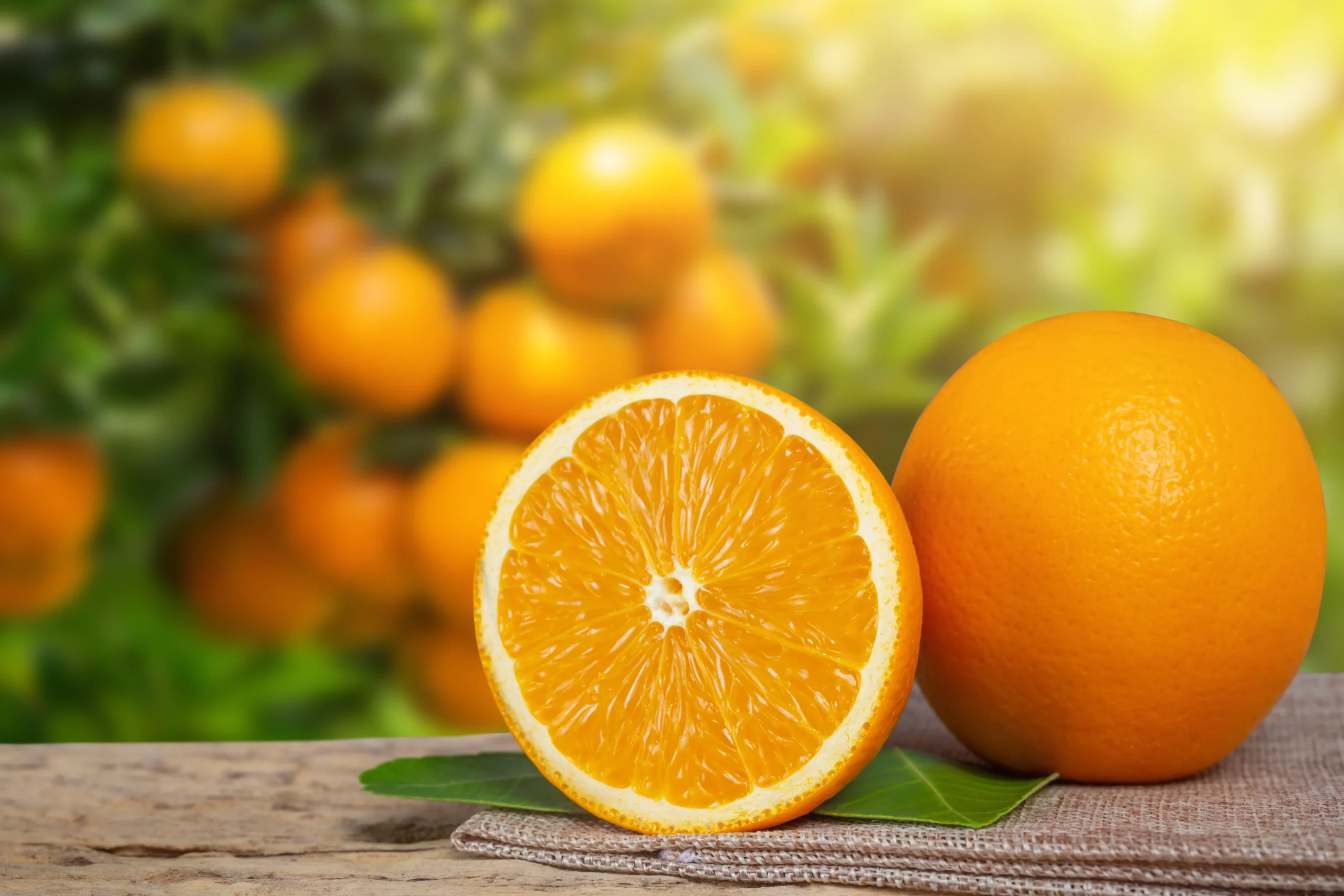 10 Curiosidades Surpreendentes sobre a Laranja: A Rainha das Frutas Cítricas | Amo Receita Receita de 10 Curiosidades Surpreendentes sobre a Laranja: A Rainha das Frutas Cítricas | Amo Receita