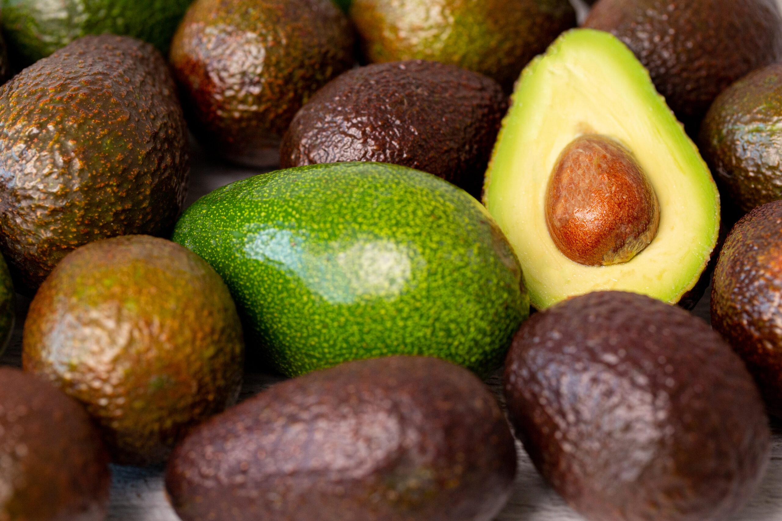 10 Curiosidades Fascinantes sobre o Abacate: da História à Nutrição | Amo Receita Receita de 10 Curiosidades Fascinantes sobre o Abacate: da História à Nutrição | Amo Receita