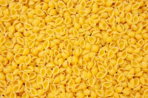 Conchiglie Conchiglie