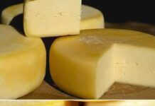 Receita de Queijo Colonial Caseiro | Amo Receita