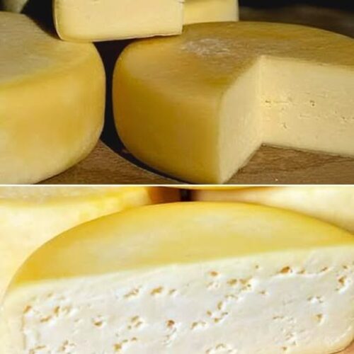 Receita de Queijo Colonial Caseiro | Amo Receita