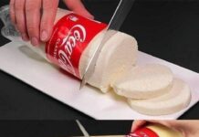 Receita de Queijo Feito na Garrafa de Refrigerante | Amo Receita