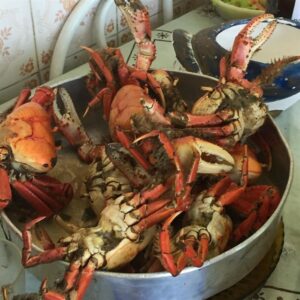 Receita de Receita de Caranguejada Simples e Gostosa | Amo Receita