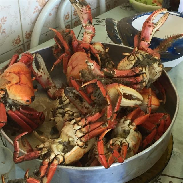 Receita de Receita de Caranguejada Simples e Gostosa | Amo Receita