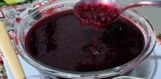 Sagu de Vinho com Creme!! Receita de Sagu de Vinho com Creme!! | Amo Receita