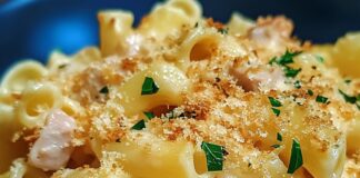 Receita de Cotovelinhos com Atum no Forno | Amo Receita