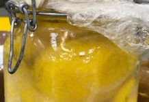 Receita de Conserva de Limão-Siciliano | Amo Receita