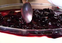 Receita de Manjar Branco com Jabuticaba | Amo Receita