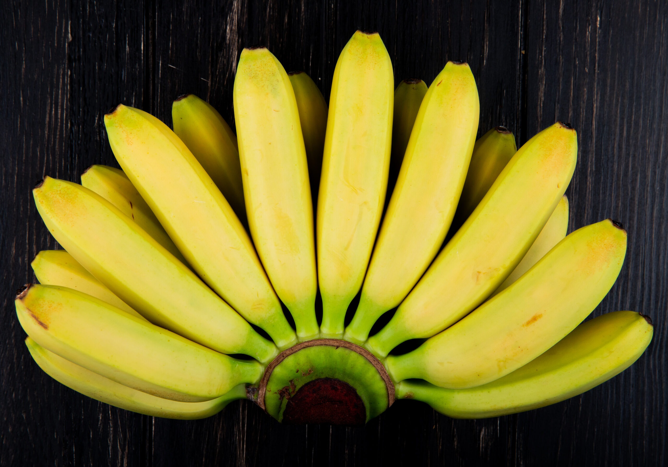 Receita de 10 Curiosidades Intrigantes sobre a Banana: Uma Fruta Muito Mais que Saborosa | Amo Receita