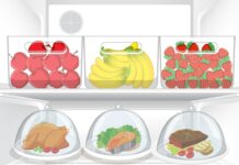 Dicas de armazenamento de alimentos na geladeira - Mantenha a frescor e a segurança | Amo Receita