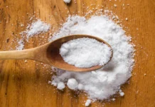 O que é salitre (salito)? Faz mal? Engorda? Saiba tudo sobre | Amo Receita