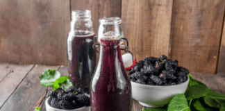 Receita de Suco de amora | Amo Receita