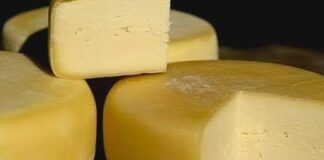 Receita de Queijo Colonial Caseiro | Amo Receita